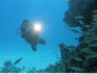 diver with camera 1